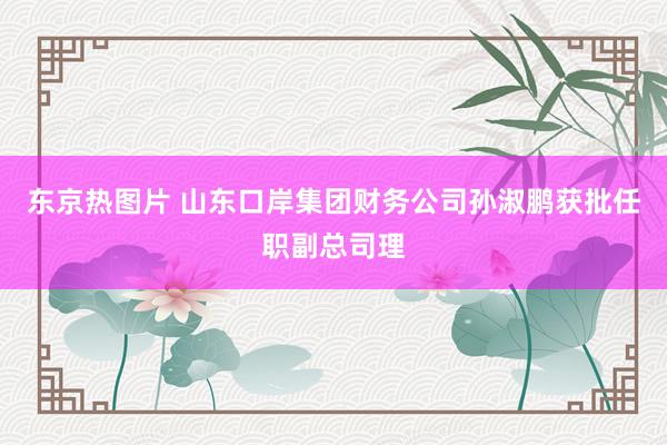 东京热图片 山东口岸集团财务公司孙淑鹏获批任职副总司理