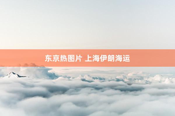 东京热图片 上海伊朗海运