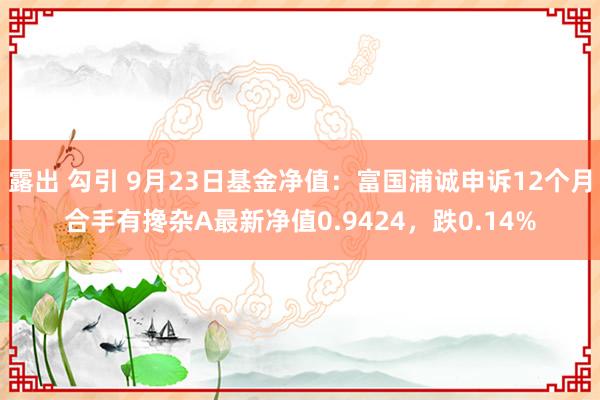 露出 勾引 9月23日基金净值：富国浦诚申诉12个月合手有搀杂A最新净值0.9424，跌0.14%