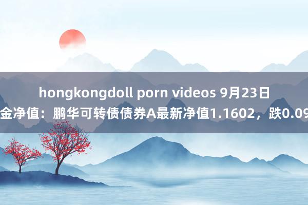 hongkongdoll porn videos 9月23日基金净值：鹏华可转债债券A最新净值1.1602，跌0.09%