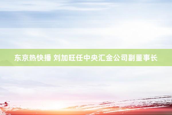 东京热快播 刘加旺任中央汇金公司副董事长