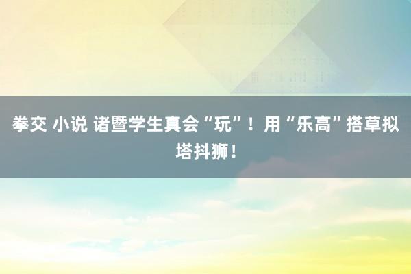 拳交 小说 诸暨学生真会“玩”！用“乐高”搭草拟塔抖狮！