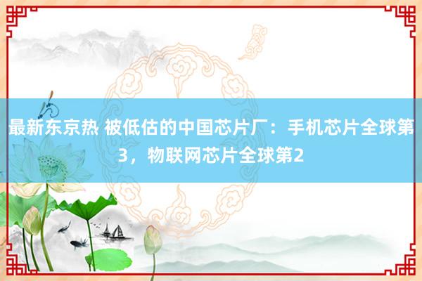 最新东京热 被低估的中国芯片厂：手机芯片全球第3，物联网芯片全球第2