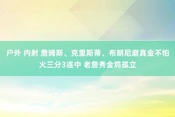 户外 内射 詹姆斯、克里斯蒂、布朗尼磨真金不怕火三分3连中 老詹秀金鸡孤立