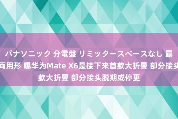 パナソニック 分電盤 リミッタースペースなし 露出・半埋込両用形 曝华为Mate X6是接下来首款大折叠 部分接头脱期或停更