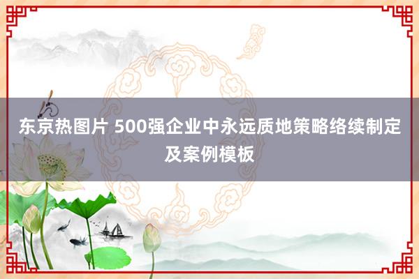 东京热图片 500强企业中永远质地策略络续制定及案例模板