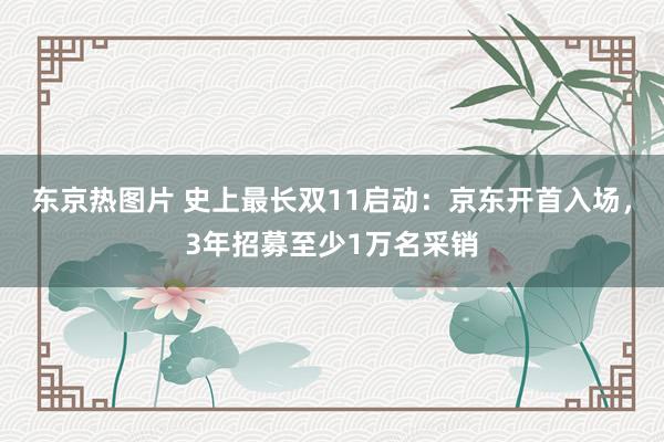 东京热图片 史上最长双11启动：京东开首入场，3年招募至少1万名采销