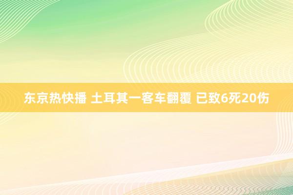 东京热快播 土耳其一客车翻覆 已致6死20伤