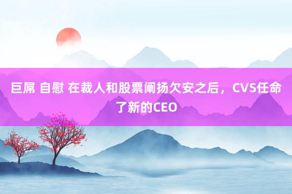 巨屌 自慰 在裁人和股票阐扬欠安之后，CVS任命了新的CEO