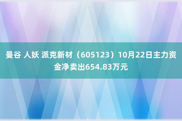 曼谷 人妖 派克新材（605123）10月22日主力资金净卖出654.83万元