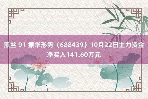 黑丝 91 振华形势（688439）10月22日主力资金净买入141.60万元