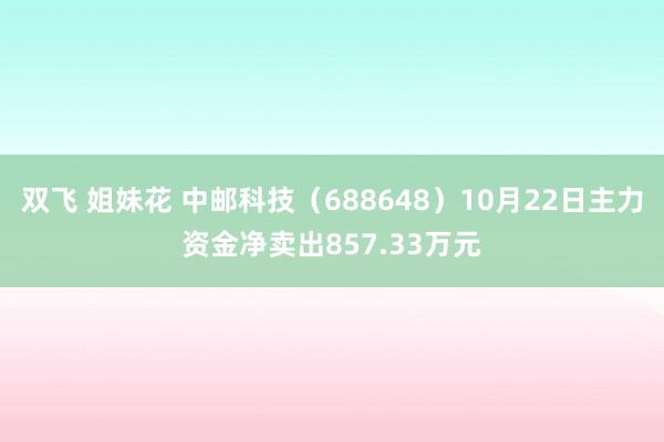 双飞 姐妹花 中邮科技（688648）10月22日主力资金净卖出857.33万元