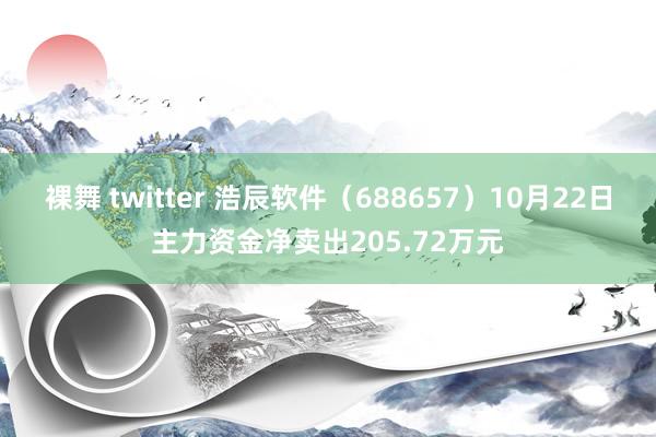 裸舞 twitter 浩辰软件（688657）10月22日主力资金净卖出205.72万元