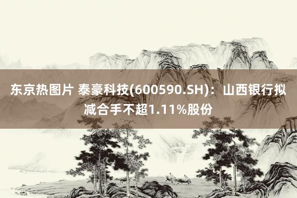 东京热图片 泰豪科技(600590.SH)：山西银行拟减合手不超1.11%股份