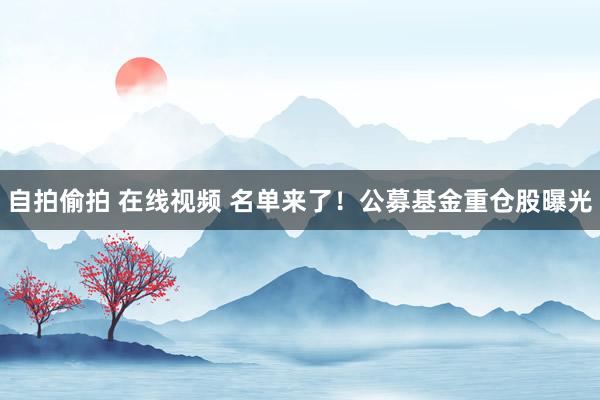 自拍偷拍 在线视频 名单来了！公募基金重仓股曝光