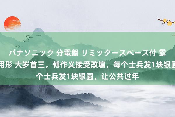 パナソニック 分電盤 リミッタースペース付 露出・半埋込両用形 大岁首三，傅作义接受改编，每个士兵发1块银圆，让公共过年