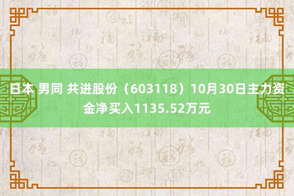 日本 男同 共进股份（603118）10月30日主力资金净买入1135.52万元