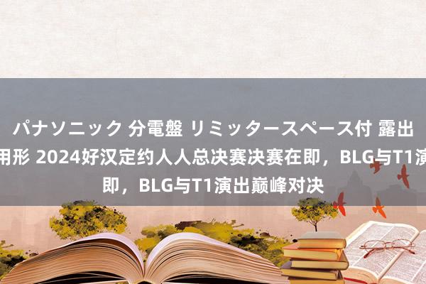 パナソニック 分電盤 リミッタースペース付 露出・半埋込両用形 2024好汉定约人人总决赛决赛在即，BLG与T1演出巅峰对决