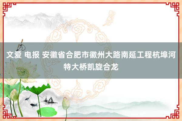 文爱 电报 安徽省合肥市徽州大路南延工程杭埠河特大桥凯旋合龙