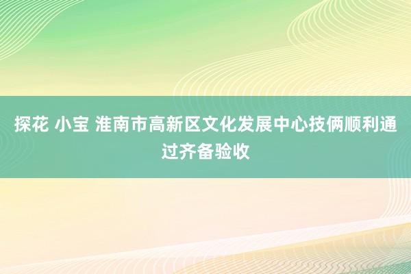 探花 小宝 淮南市高新区文化发展中心技俩顺利通过齐备验收