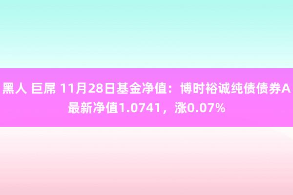 黑人 巨屌 11月28日基金净值：博时裕诚纯债债券A最新净值1.0741，涨0.07%