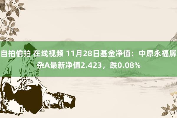 自拍偷拍 在线视频 11月28日基金净值：中原永福羼杂A最新净值2.423，跌0.08%