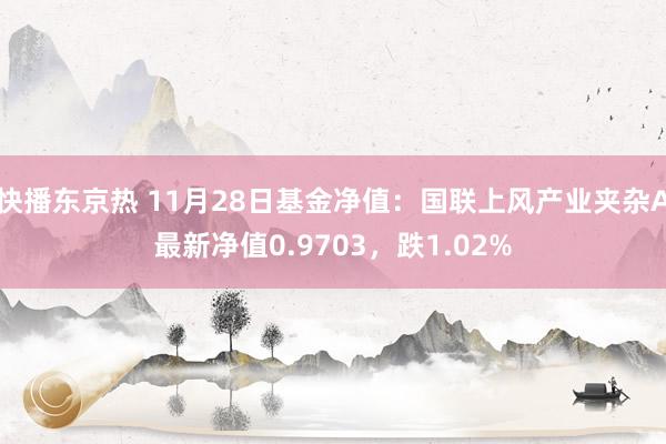 快播东京热 11月28日基金净值：国联上风产业夹杂A最新净值0.9703，跌1.02%