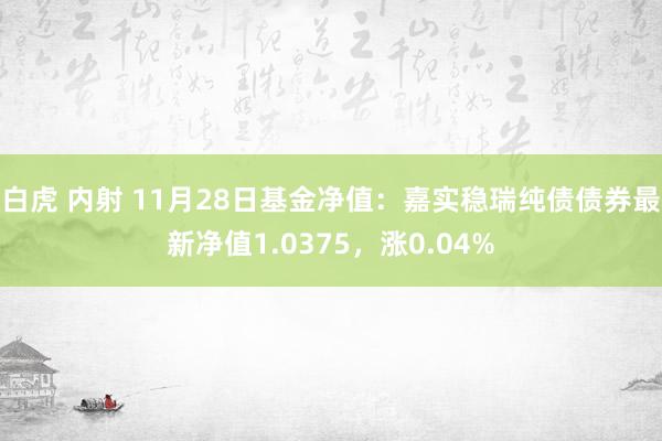 白虎 内射 11月28日基金净值：嘉实稳瑞纯债债券最新净值1.0375，涨0.04%