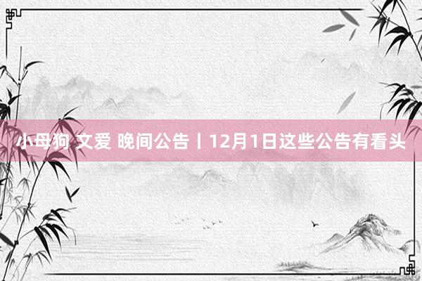 小母狗 文爱 晚间公告丨12月1日这些公告有看头