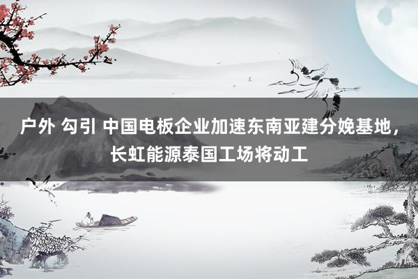 户外 勾引 中国电板企业加速东南亚建分娩基地，长虹能源泰国工场将动工