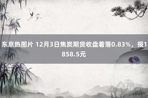 东京热图片 12月3日焦炭期货收盘着落0.83%，报1858.5元