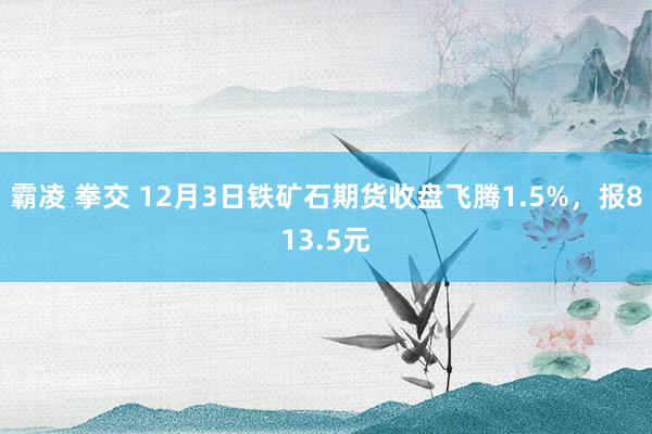 霸凌 拳交 12月3日铁矿石期货收盘飞腾1.5%，报813.5元