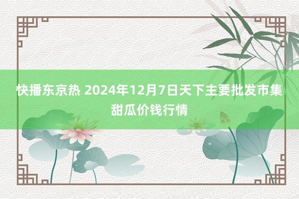 快播东京热 2024年12月7日天下主要批发市集甜瓜价钱行情