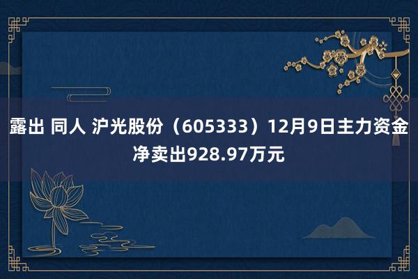 露出 同人 沪光股份（605333）12月9日主力资金净卖出928.97万元