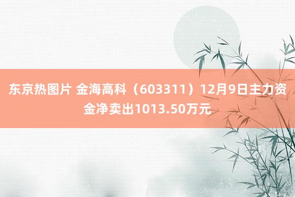 东京热图片 金海高科（603311）12月9日主力资金净卖出1013.50万元