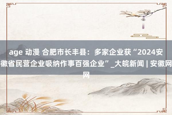 age 动漫 合肥市长丰县：多家企业获“2024安徽省民营企业吸纳作事百强企业”_大皖新闻 | 安徽网