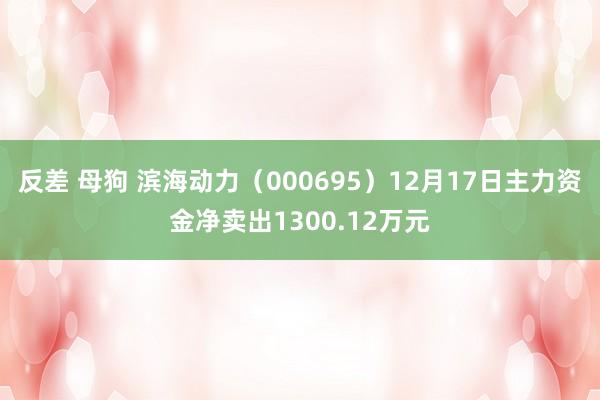 反差 母狗 滨海动力（000695）12月17日主力资金净卖出1300.12万元