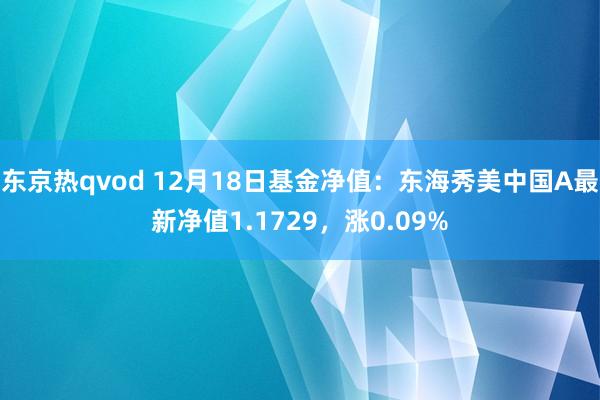 东京热qvod 12月18日基金净值：东海秀美中国A最新净值1.1729，涨0.09%