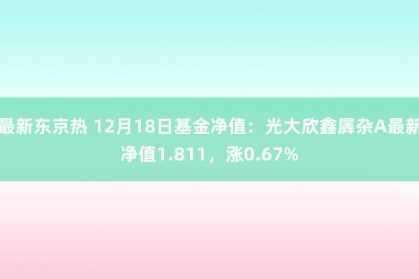 最新东京热 12月18日基金净值：光大欣鑫羼杂A最新净值1.811，涨0.67%