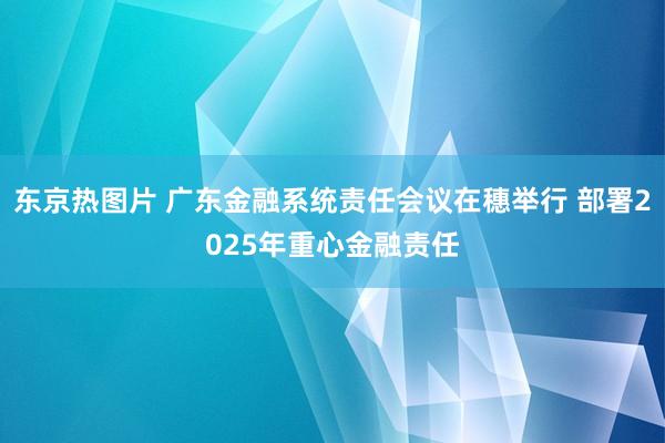 东京热图片 广东金融系统责任会议在穗举行 部署2025年重心金融责任