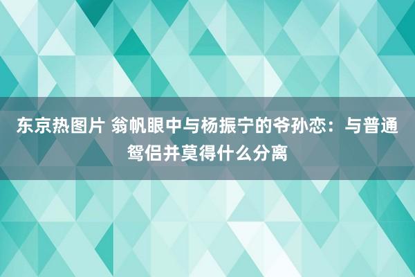 东京热图片 翁帆眼中与杨振宁的爷孙恋：与普通鸳侣并莫得什么分离