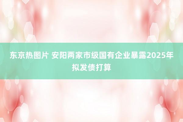 东京热图片 安阳两家市级国有企业暴露2025年拟发债打算