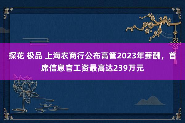 探花 极品 上海农商行公布高管2023年薪酬，首席信息官工资最高达239万元