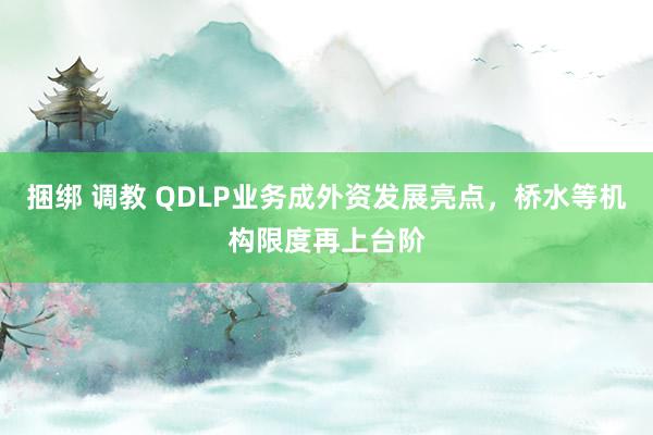 捆绑 调教 QDLP业务成外资发展亮点，桥水等机构限度再上台阶