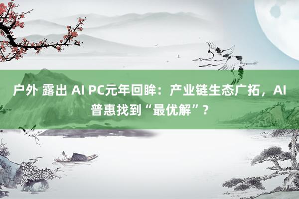 户外 露出 AI PC元年回眸：产业链生态广拓，AI普惠找到“最优解”？