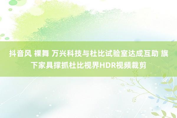 抖音风 裸舞 万兴科技与杜比试验室达成互助 旗下家具撑抓杜比视界HDR视频裁剪