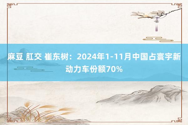 麻豆 肛交 崔东树：2024年1-11月中国占寰宇新动力车份额70%