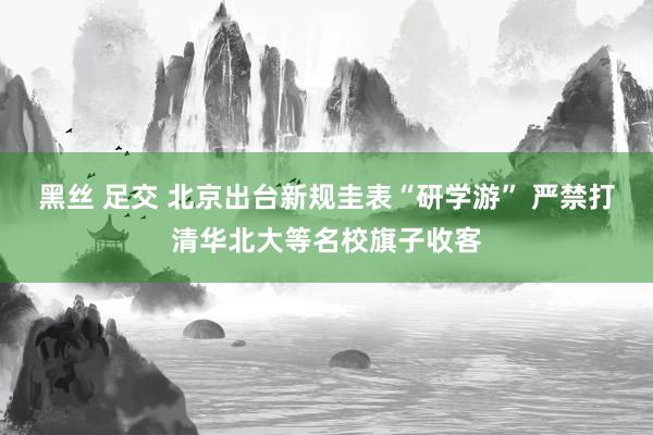 黑丝 足交 北京出台新规圭表“研学游” 严禁打清华北大等名校旗子收客