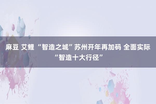 麻豆 艾鲤 “智造之城”苏州开年再加码 全面实际“智造十大行径”