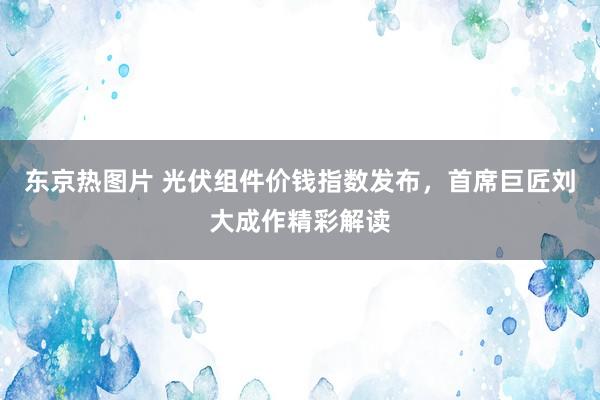 东京热图片 光伏组件价钱指数发布，首席巨匠刘大成作精彩解读